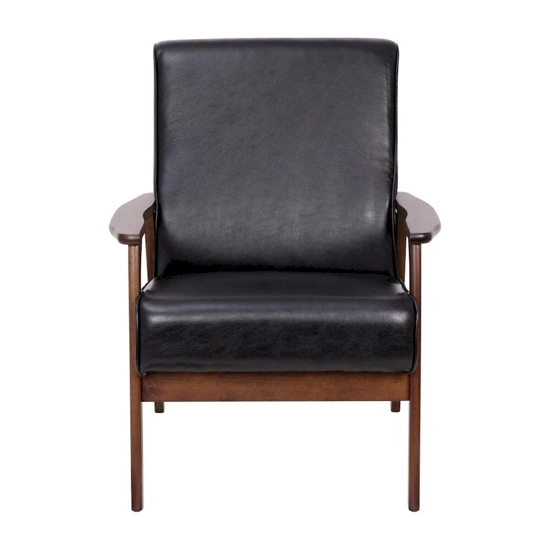 Mid-Century Modern Arm Chair with Wooden Frame and Arms
