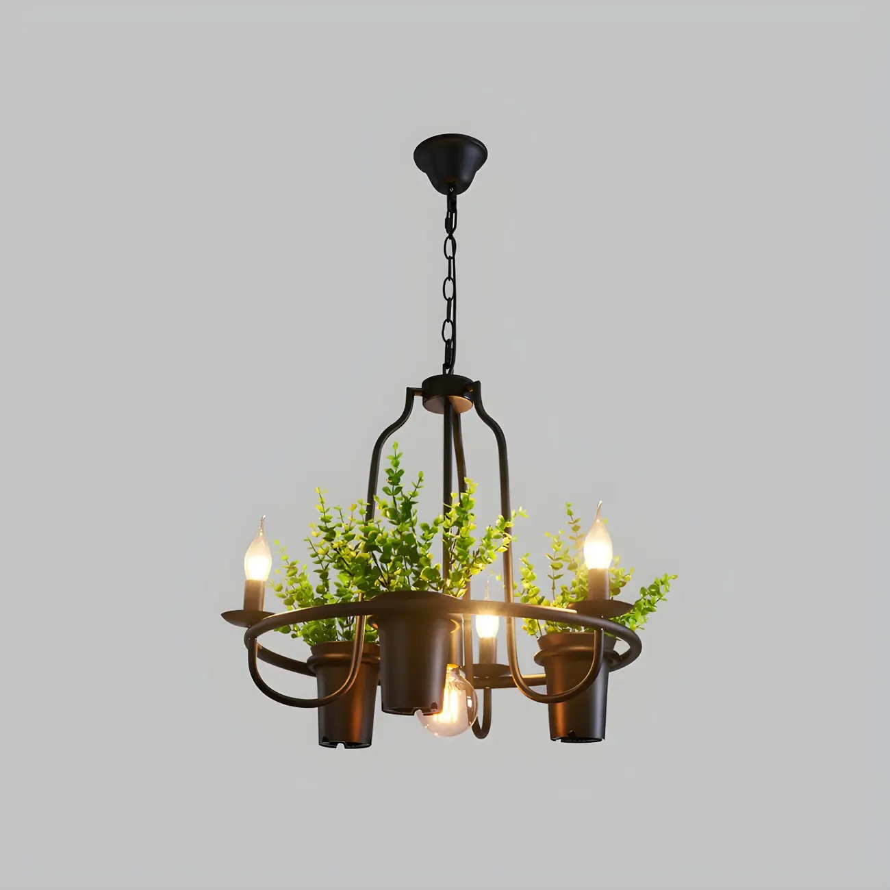 Black Metal Circular Modern Plant Chandelier