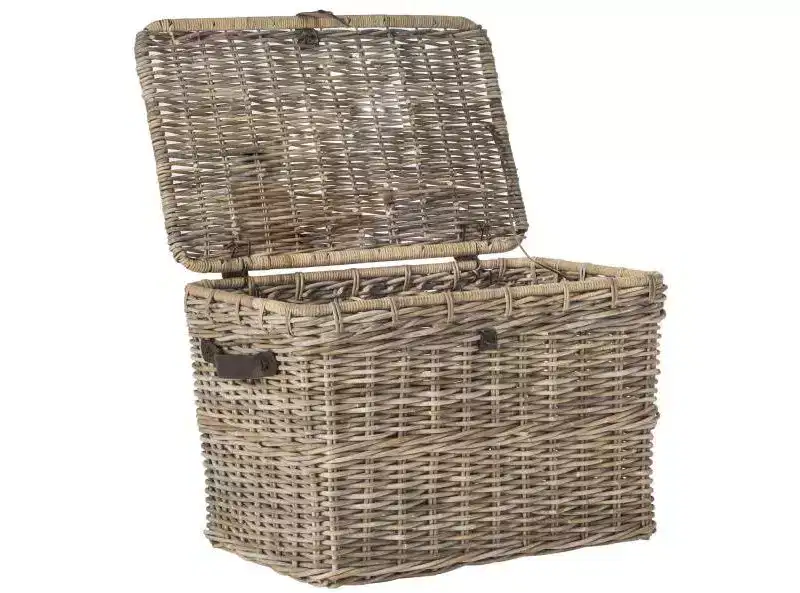 Amancio Trunk - SEA7021 - Grey - Safavieh