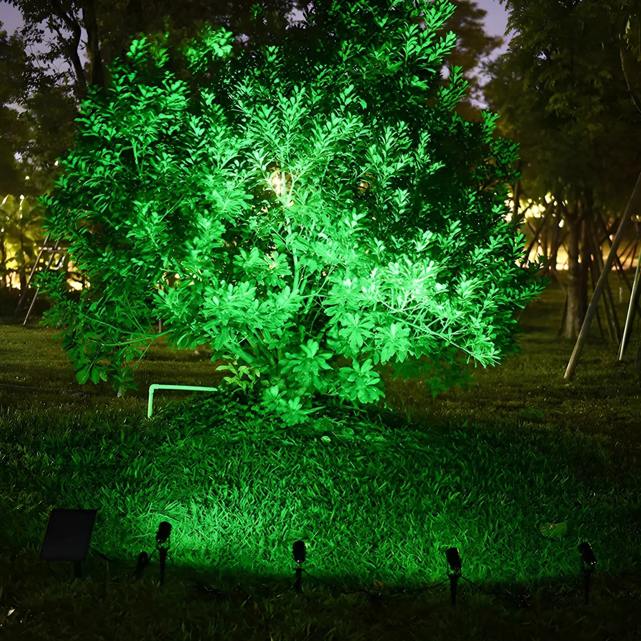 Modern Solar Spike Spotlight Landscape Lighting