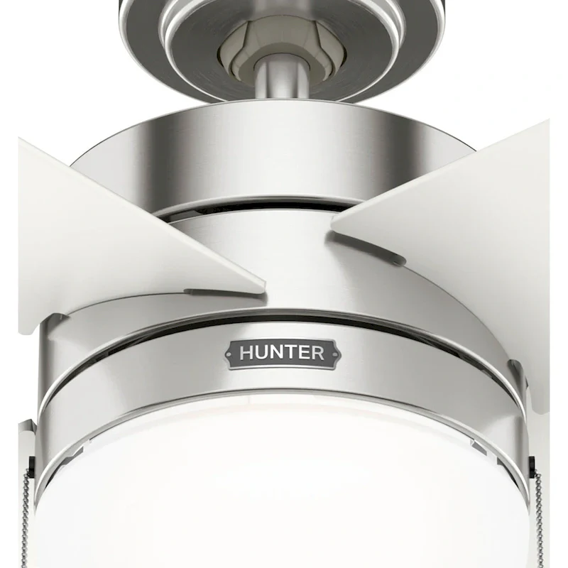 Hunter 52  Timpani Ceiling Fan w/ LED Light, Pull Chain