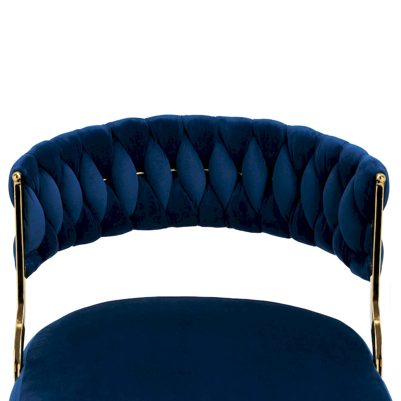 Modern Velvet Dining Chairs Set of 4