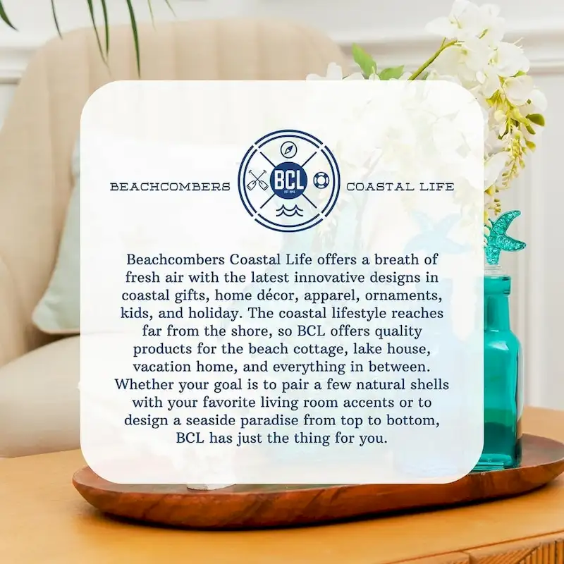 Capiz Toucan Figure Coastal Beach House Decor Decoration