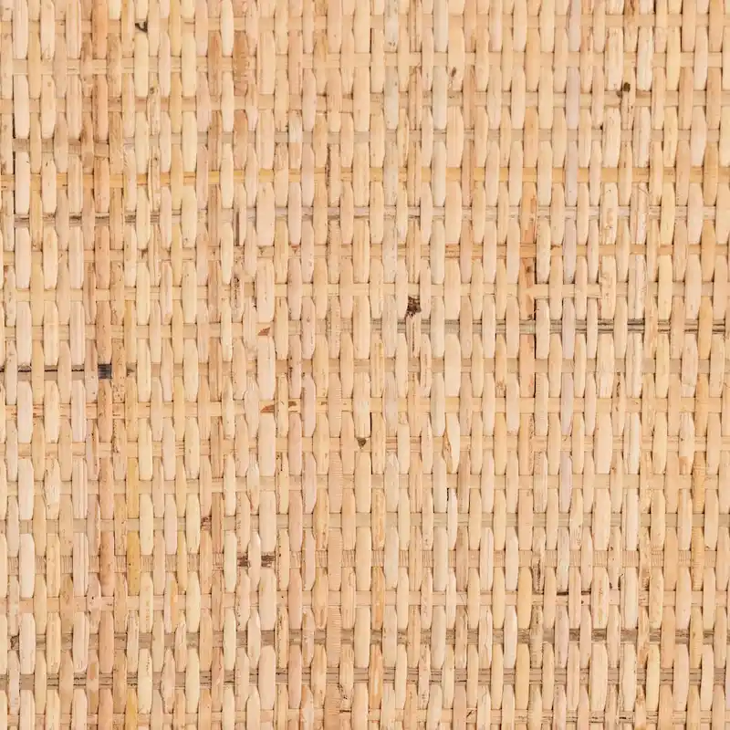 Lalo Modern Bohemian Natural Brown Rattan 1-Drawer Nightstand