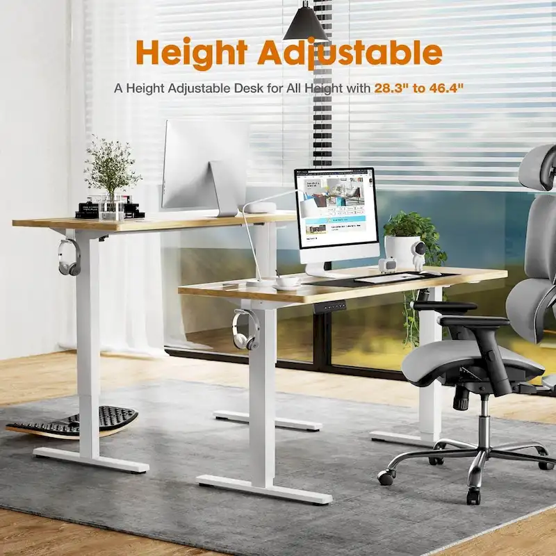 Electric Height Adjustable Standing Desk,Sit to Stand Ergonomic Computer Desk, 55  x 24
