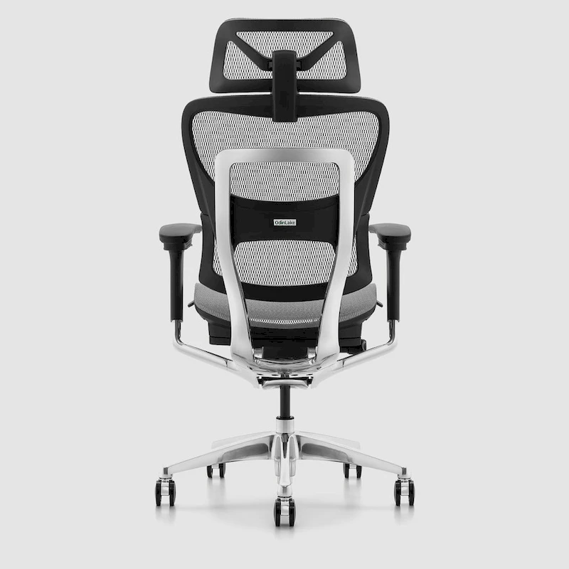 OdinLake High Back Office Chair Home Desk Chair Computer Chair Whitout Footrest