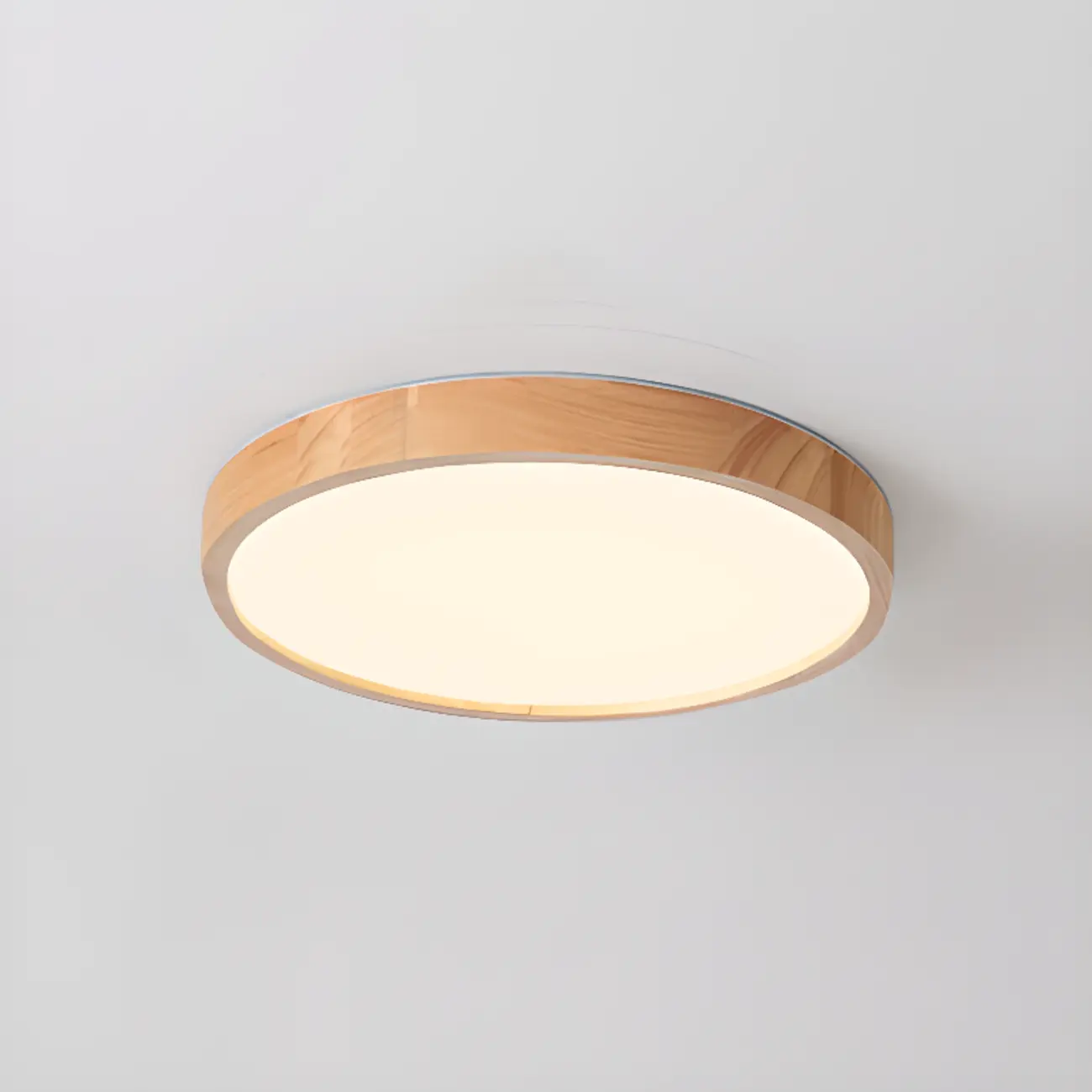 Circular Flush Mount Ceiling Light for Residential Spaces