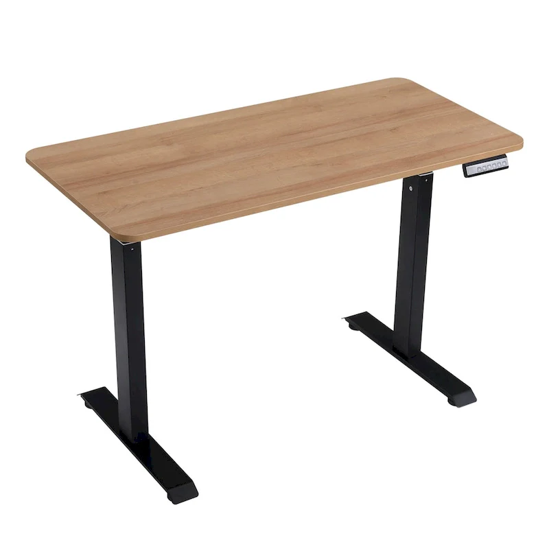 Electric Standing Desk