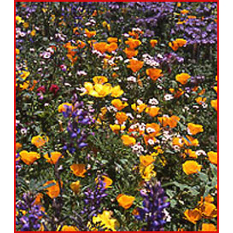 California Native Mix 0