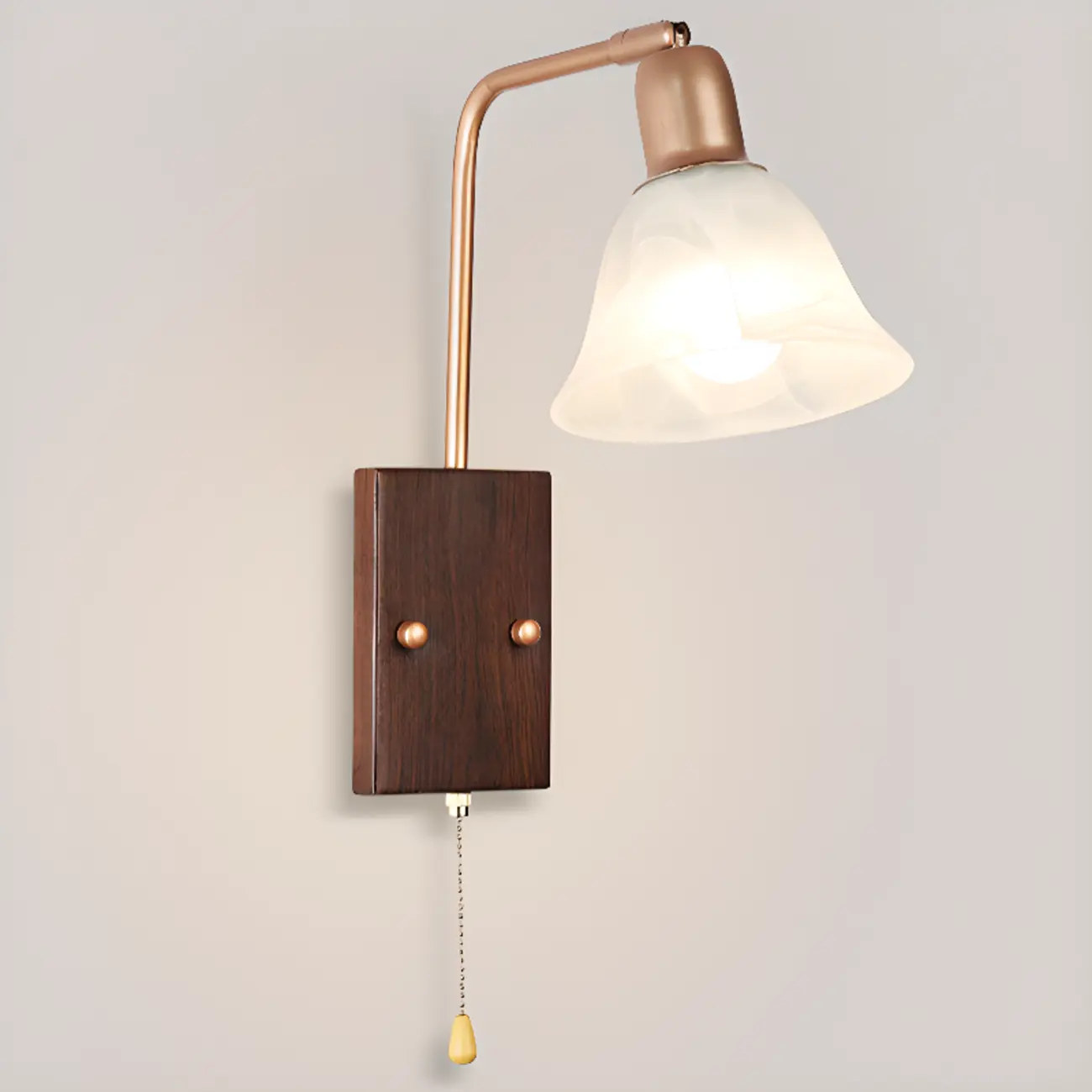 Elegant Swing Arm Wall Mount Light with Pull Chain Switch