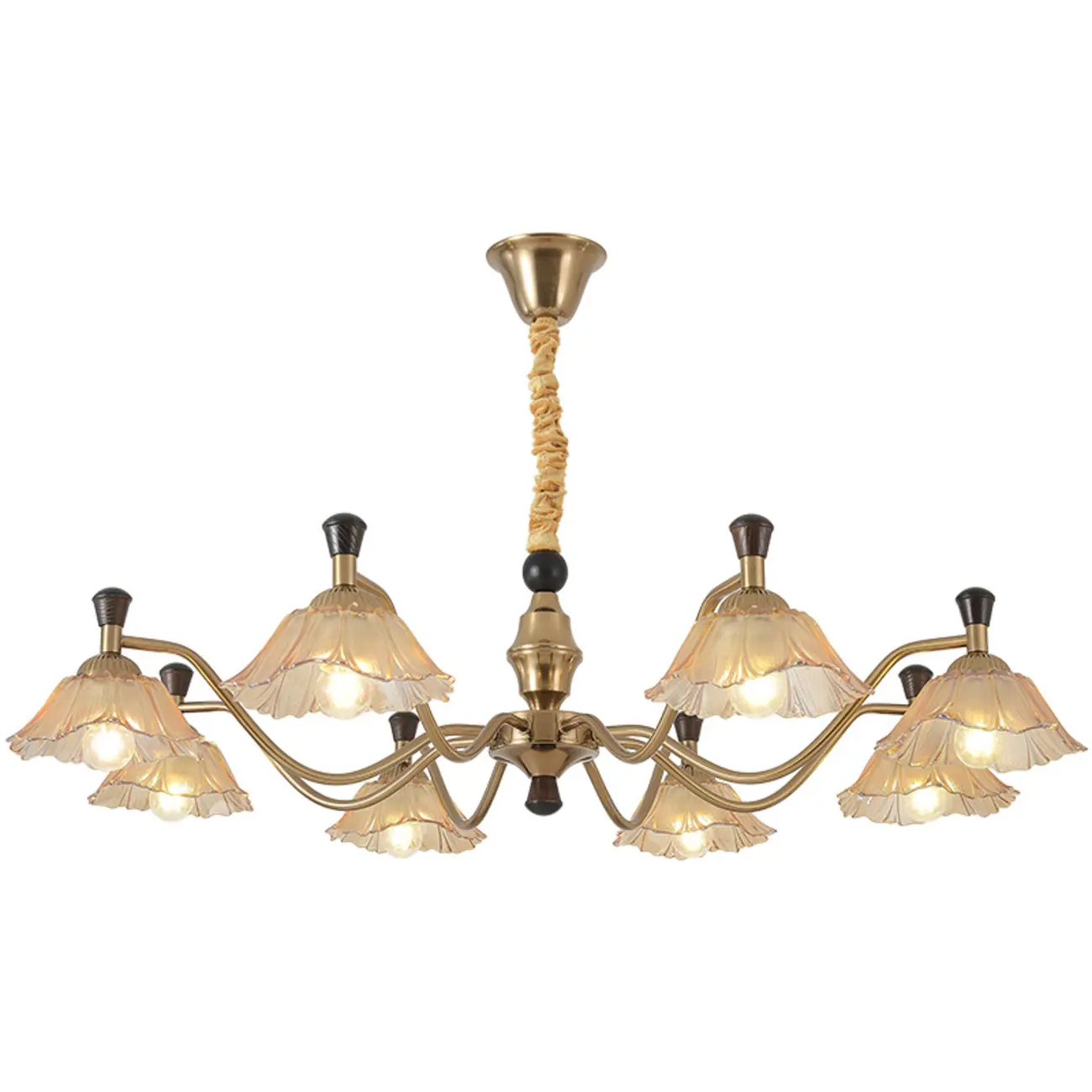 Modern Adjustable Gold Flower Glass Chandelier 6/8 Lights