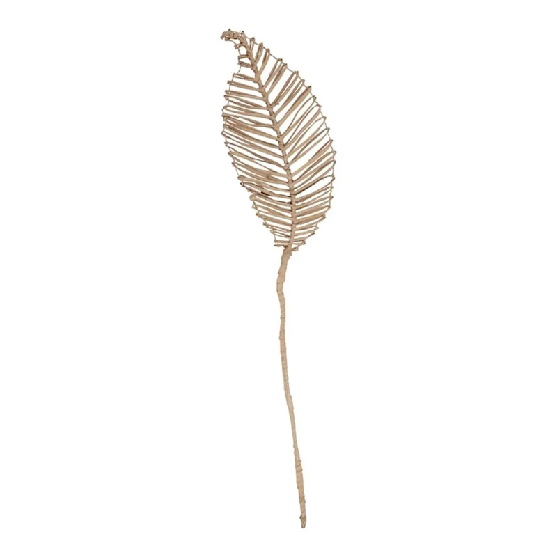 Decorative Planta Loco - Natural