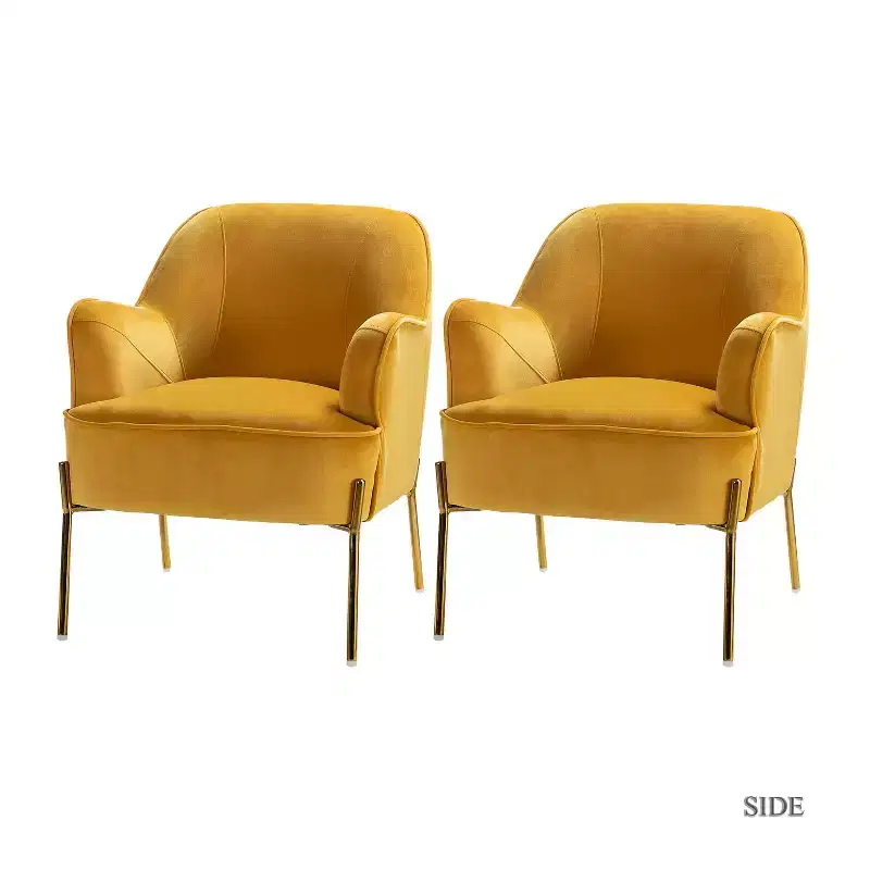 Odo Velvet Accent Comfy Living Room Arm Chair Upholstered Padded Seat Set of 2 | Karat Home