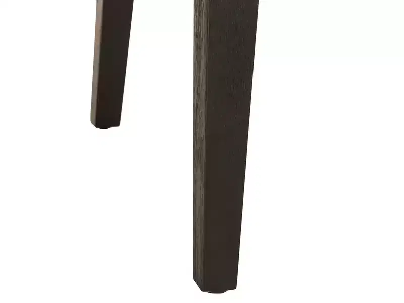 Columbo Side Chair - Set of 2 - MCR4719 - Granite - Safavieh Couture