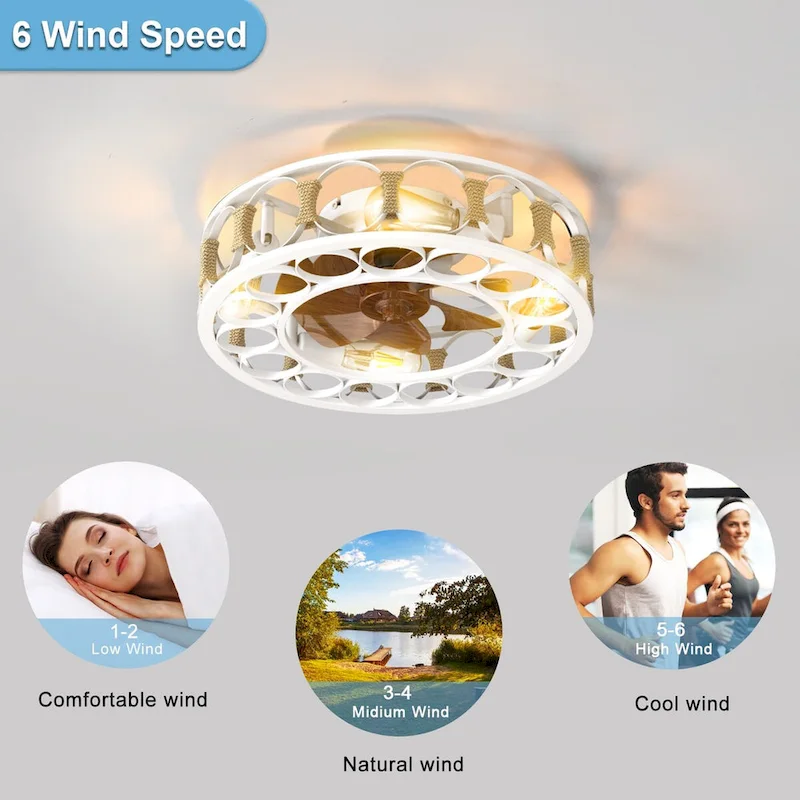 Cusp Barn 20-In Industrial Caged Ceiling Fan with Lights Remote Control, Modern 6 Speeds Ceiling Light with 4 LED Bulbs