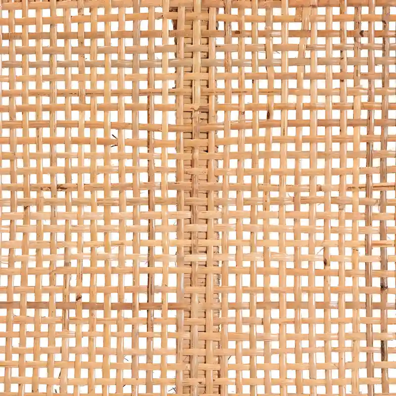 Abelia Modern Bohemian Natural Rattan and Mahogany Wood Accent Bench