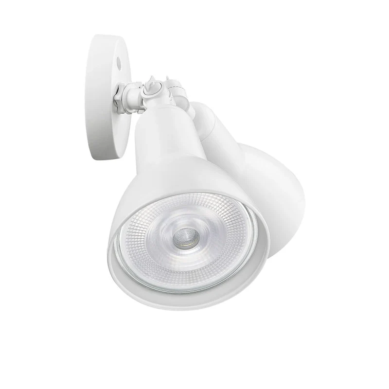 Millennium Lighting 2 Light LED Flood Light Fixture