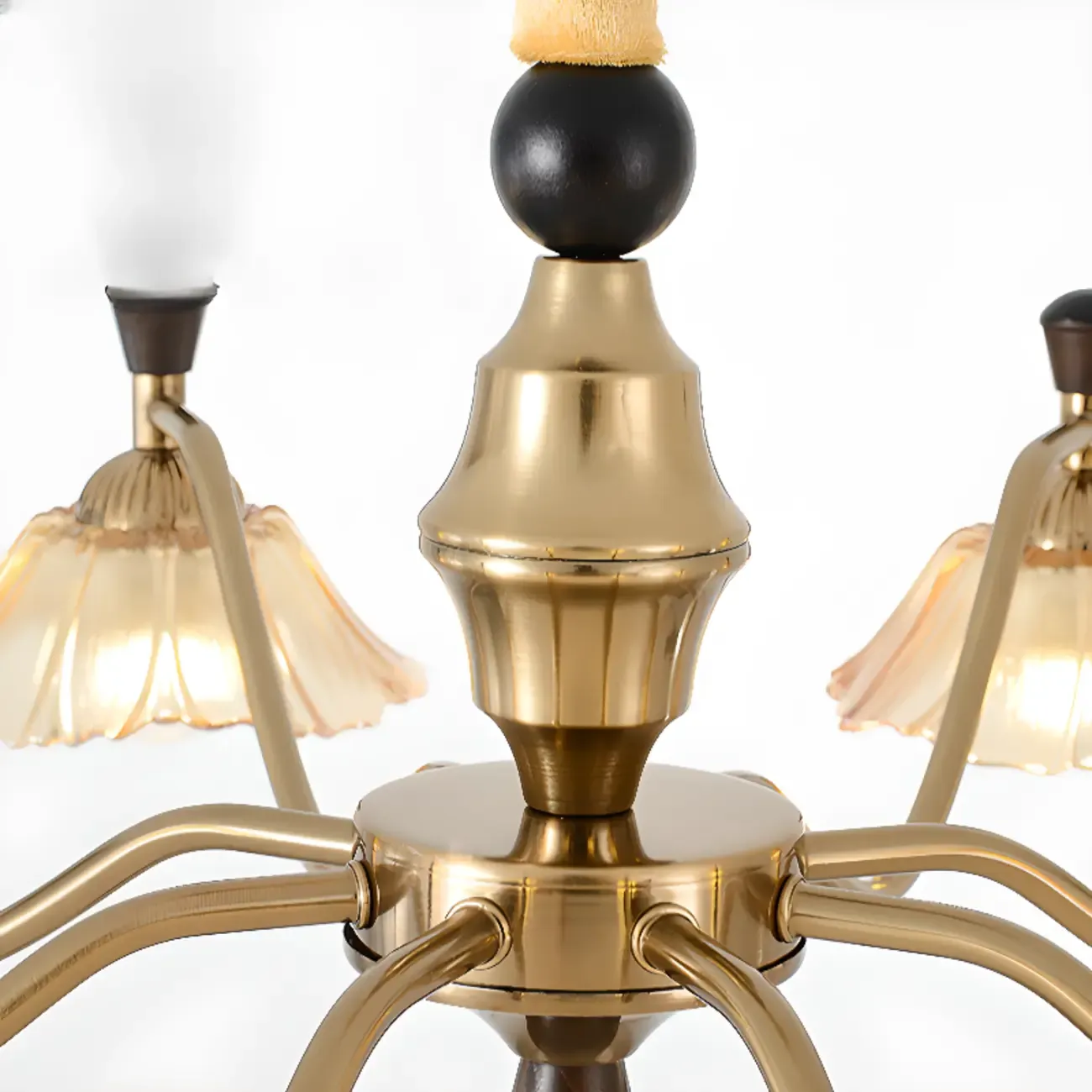 Modern Adjustable Gold Flower Glass Chandelier 6/8 Lights