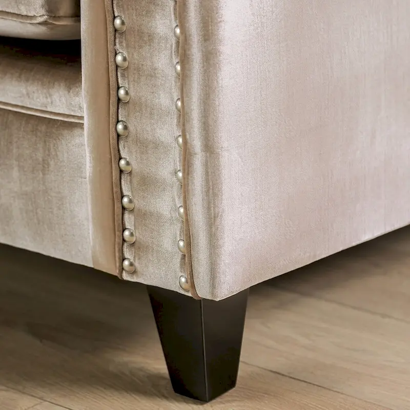Vynn Transitional Chenille Upholstered Nailhead Trim Sofa by Furniture of America