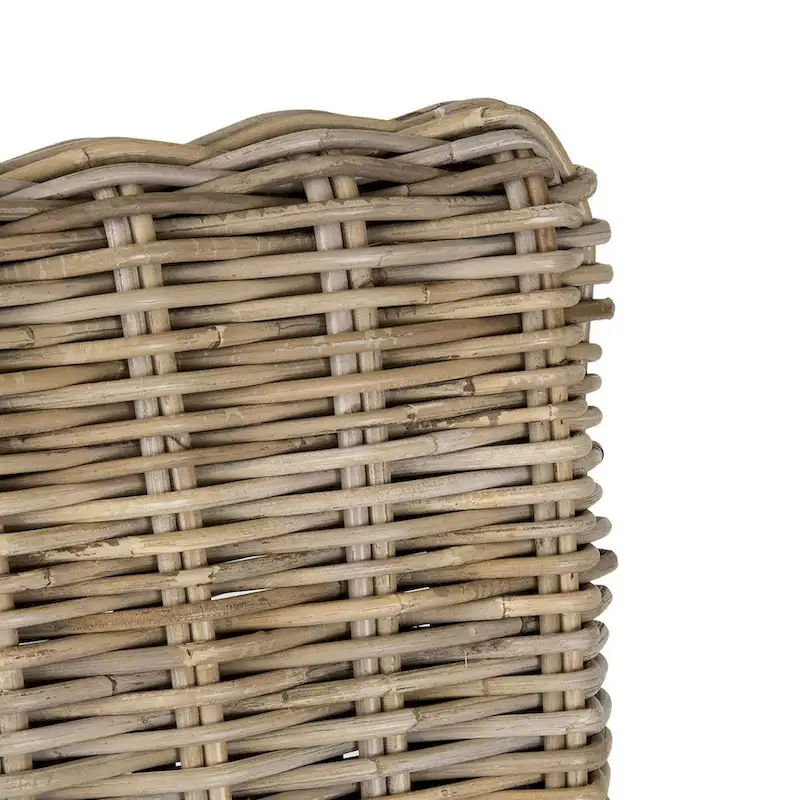 Natural Rattan Cushioned Dining Chairs (Set Of 2) by East at Main