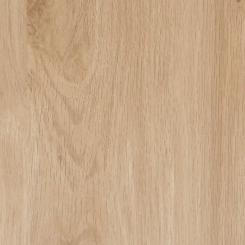 Cherelle Mid-Century Modern Light Brown and Black 2-Drawer End Table