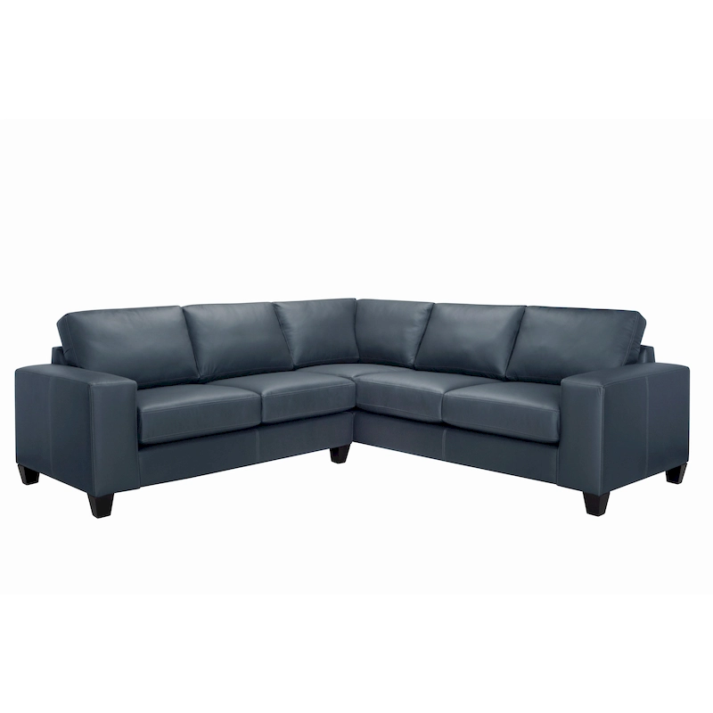 Paulina Top-grain Italian Leather Sectional Sofa