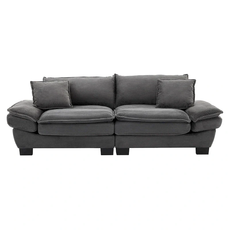 65.5 Upholstered 3-Seater Sofa Couch with Two Pillows and Sturdy Construction