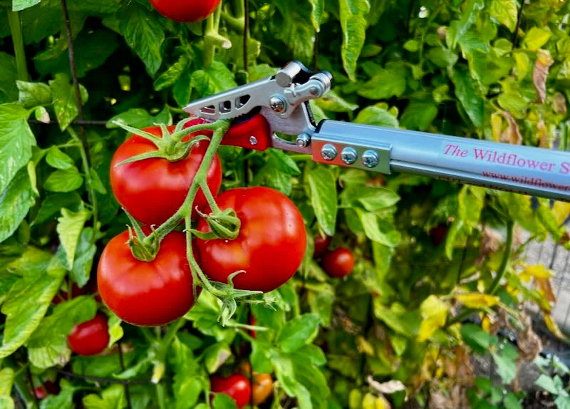 Short Reach Cut & Hold Pruner 3