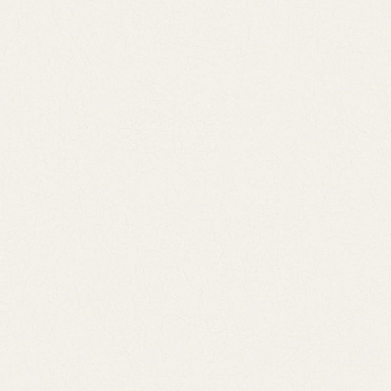 Amisco Staten Swivel Counter & Bar Stool