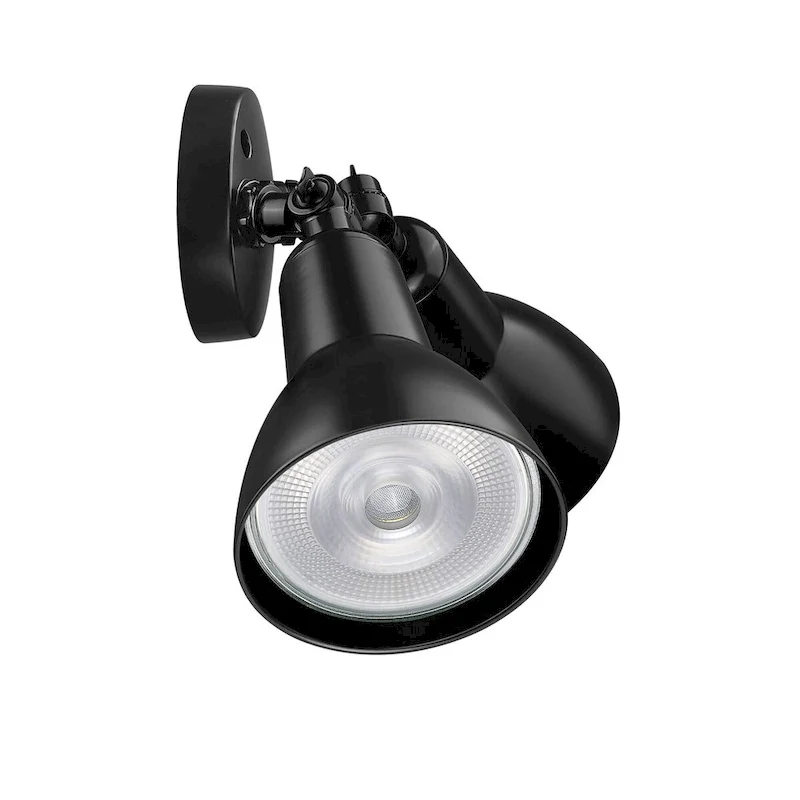 Millennium Lighting 2 Light LED Flood Light Fixture