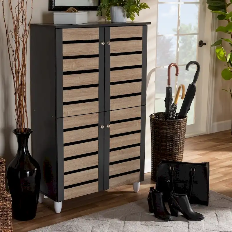Contemporary Shoe Storage Cabinet