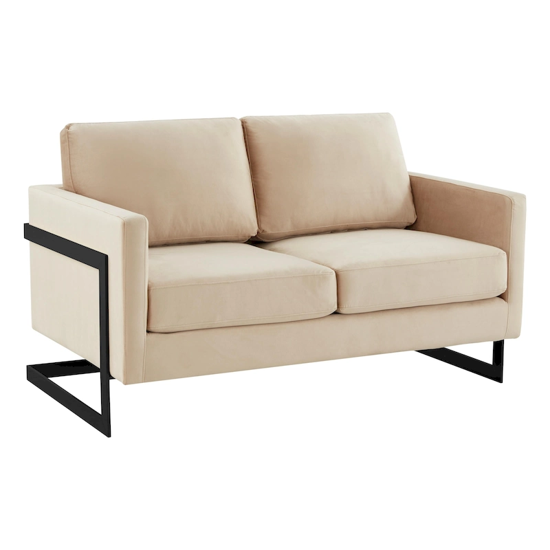 Upholstered Loveseat Sofa in Velvet Fabric with Removable Cushions and Stainless Steel Frame