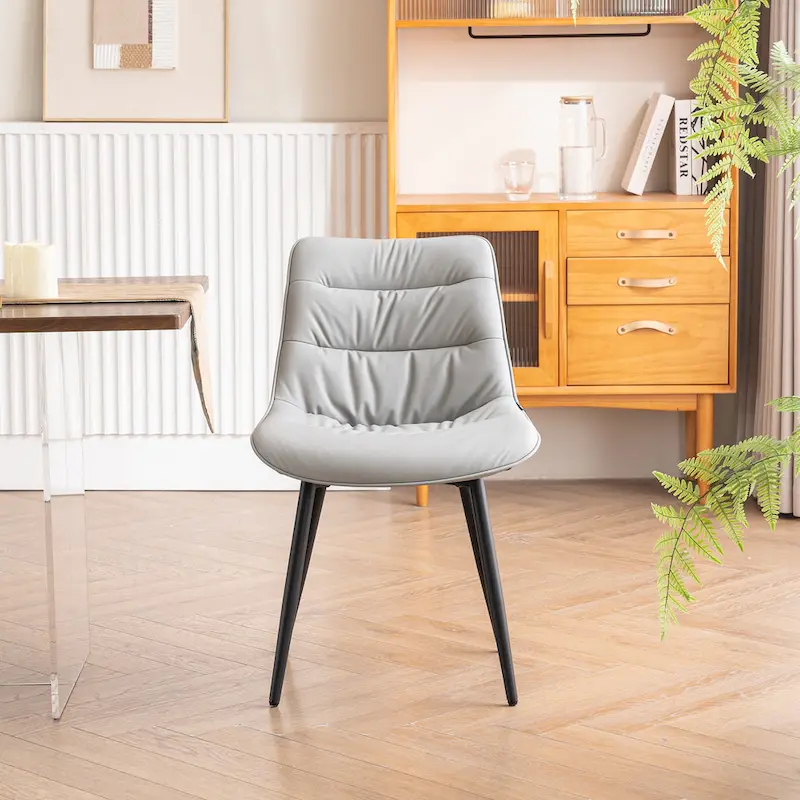 Dining Chairs Set of 2 Modern Kitchen Chairs Living Room Chairs