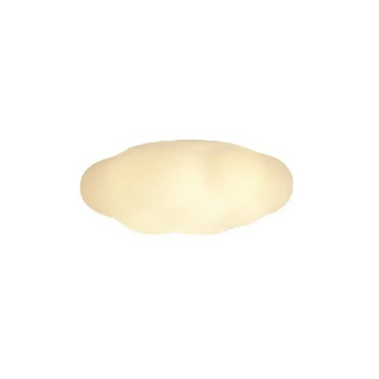 Modern Cloud Shape LED Flush Ceiling Light 3-Gear Dimming