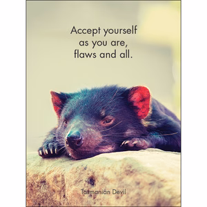 Affirmations - 24 Affirmations Cards - Awesome Aussies - DAA