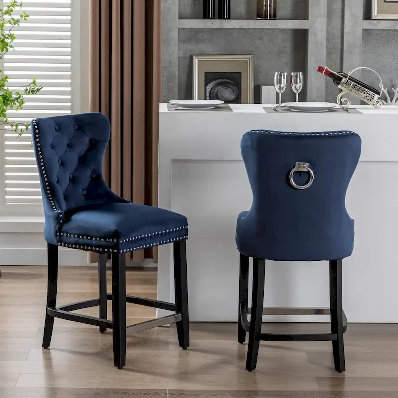 Carter 24  Wingback Tufted Nailhead Counter Stool (Set of 2)