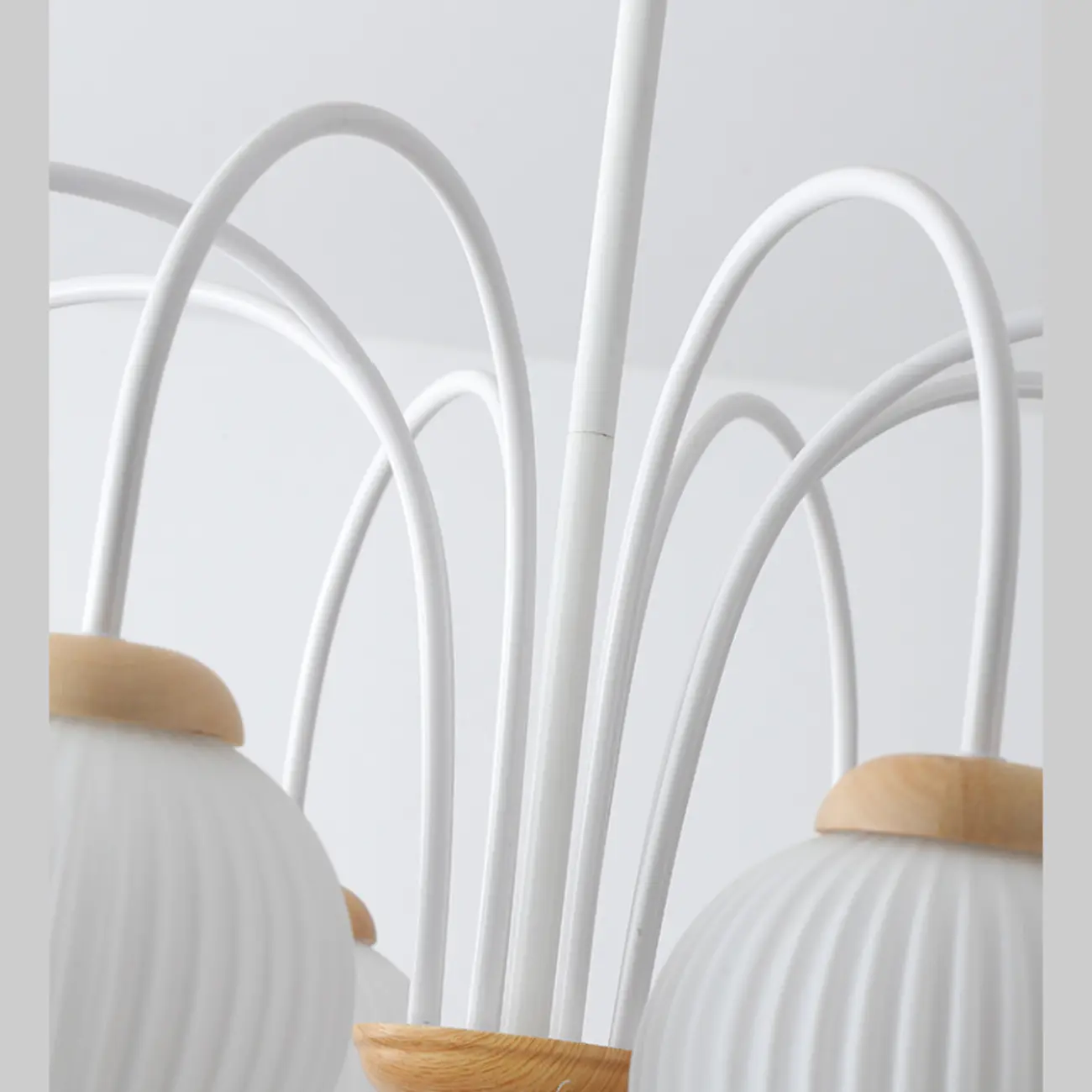 Modern Elegant Globe Pendant Chandelier with Flexible Length