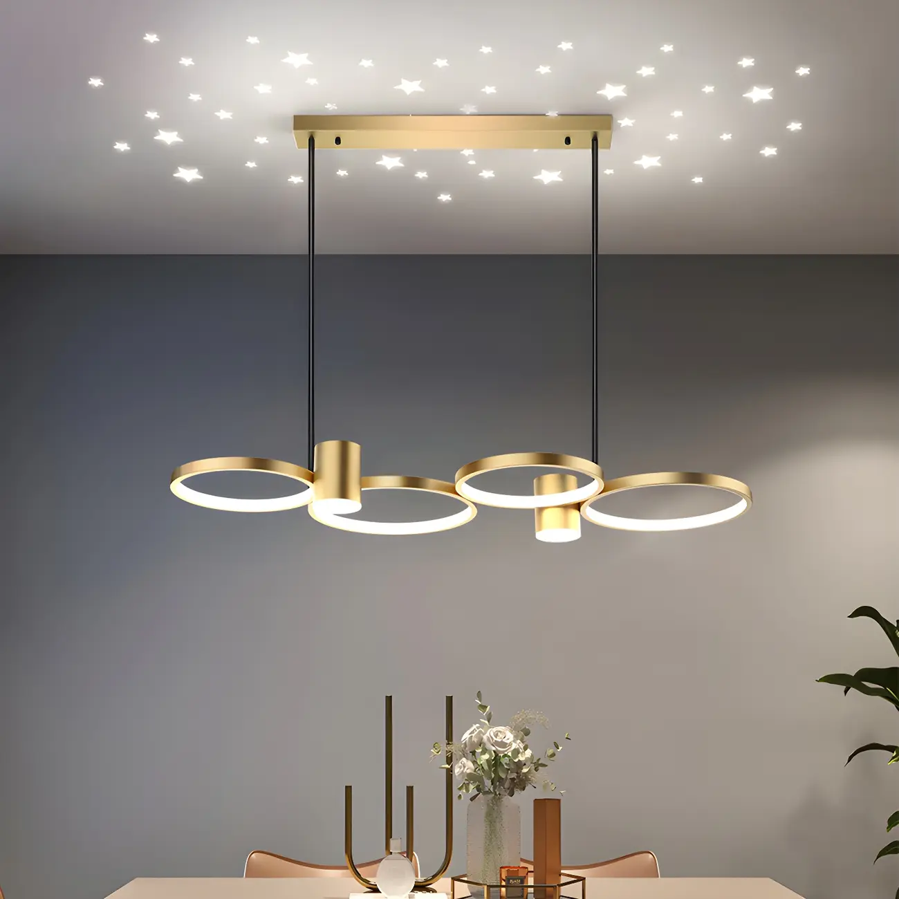 Modern Black Ring Dimming Pendant Light