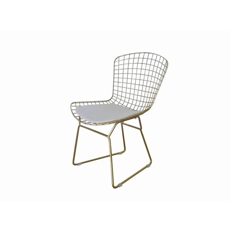 Hely 23 Inch Dining Chair Set of 2, 4 Cushions, Metal Cage Frame, Gold