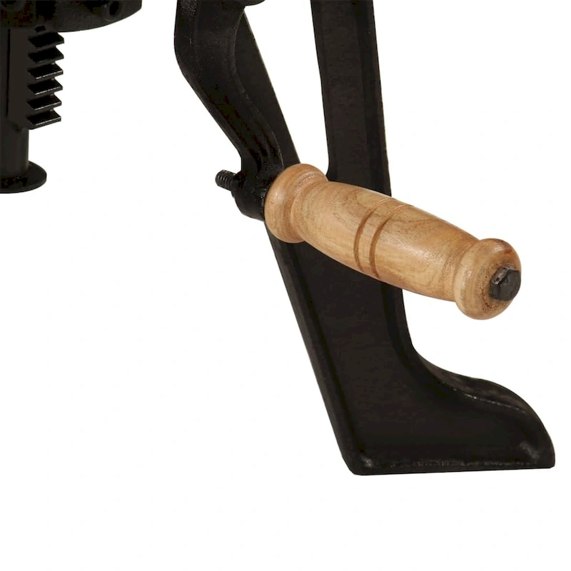 vidaXL Side Table Round Coffee End Table Sofa Table Solid Wood and Cast Iron