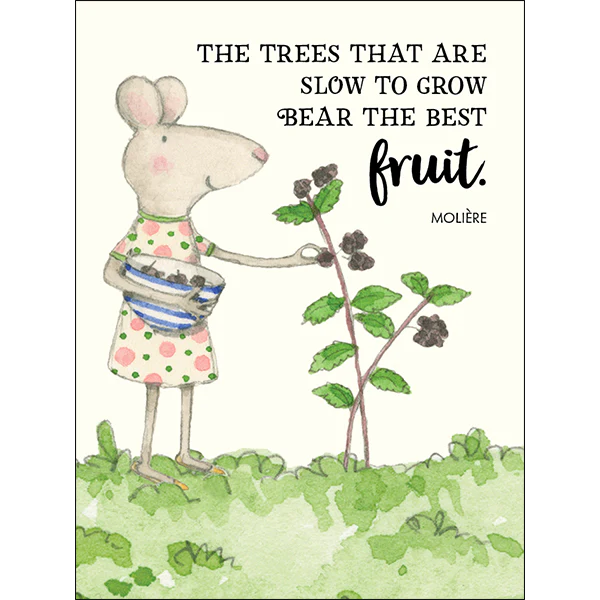 Affirmations -Twigseeds 24 Cards - Seeds of Truth - TLA001