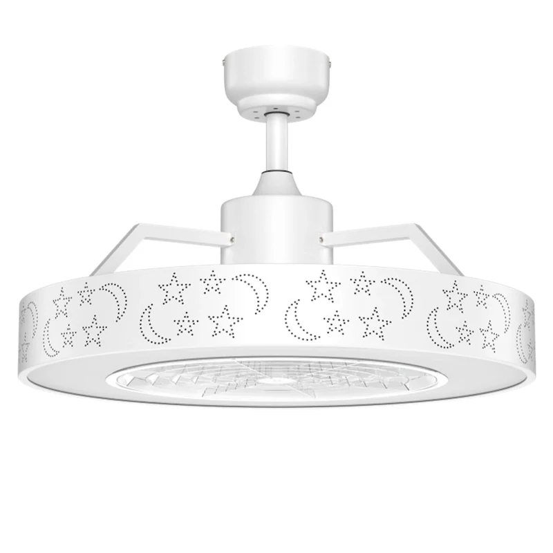 23 Inch LED Light and Remote Control Ceiling Fan