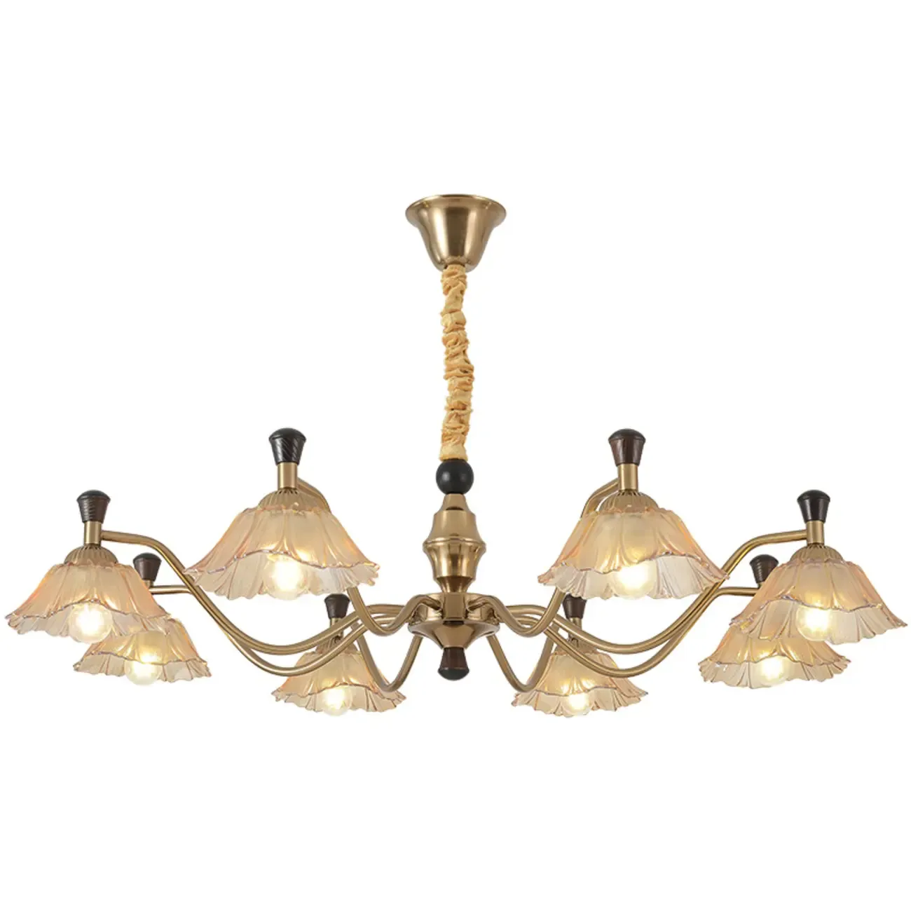 Modern Adjustable Gold Flower Glass Chandelier 6/8 Lights