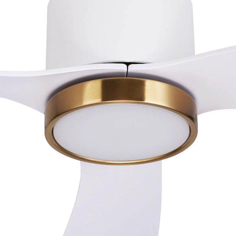 OVIOS Elegant 52-inch 2-in-1 Ceiling Fan Light with Remote Control