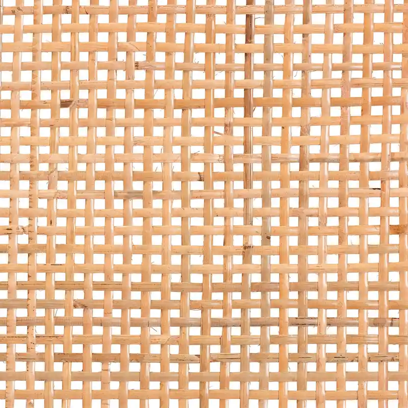 Abelia Modern Bohemian Natural Rattan and Mahogany Wood Accent Bench