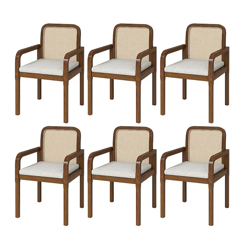 Antoine Modern Ratten Back Dining Chair with Removable Cushion Set of 6 by HULALA HOME