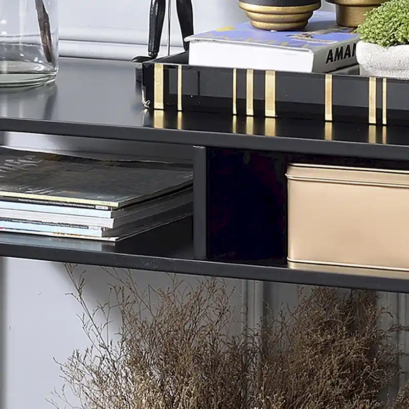 Raven Glam 48-inch Steel 3-Shelf Console Table by Furniture of America