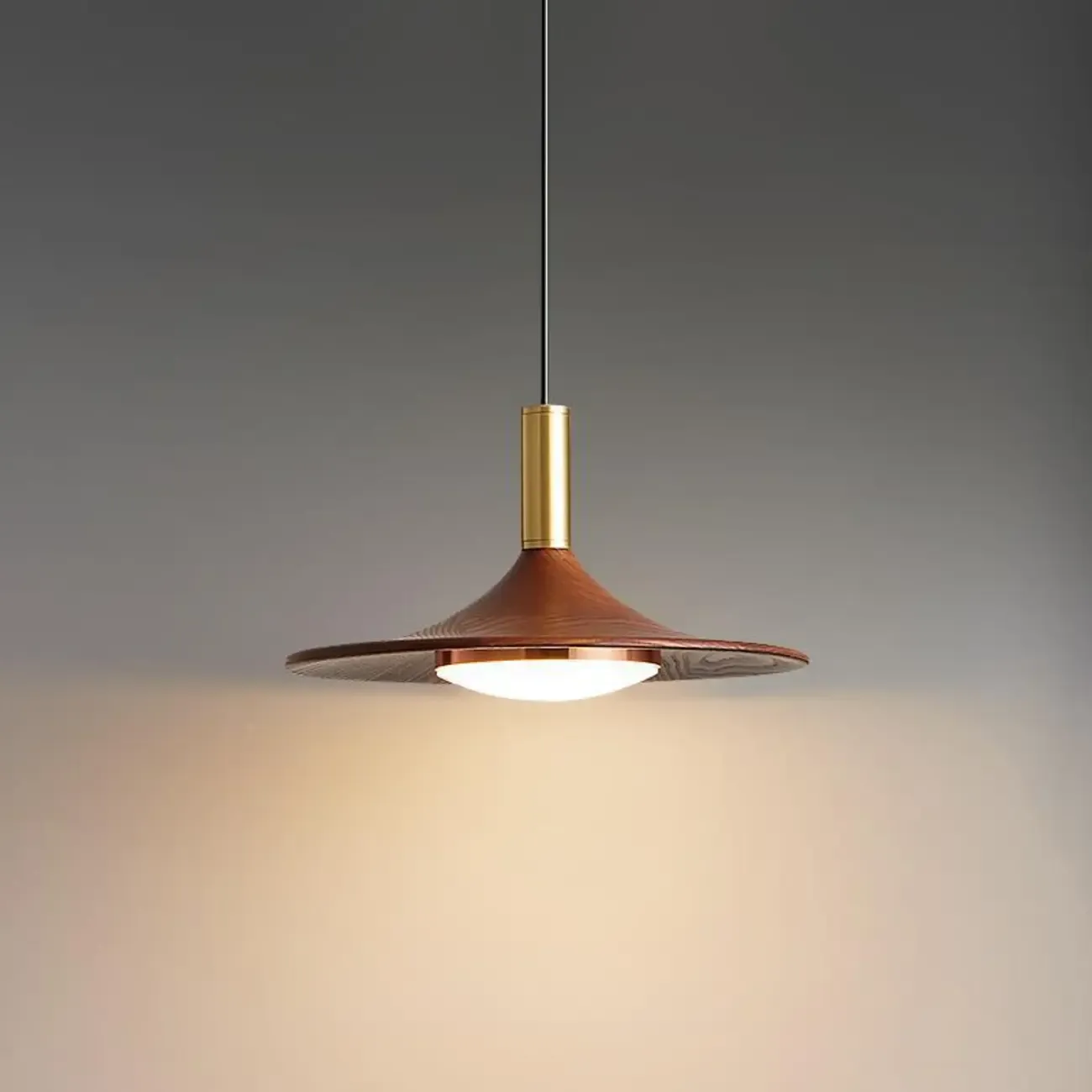 Walnut Round Acrylic Pendant Hanging Light for Living Room