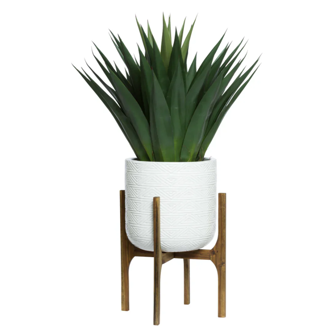 AGAVE IN SMALL PLANT STAND