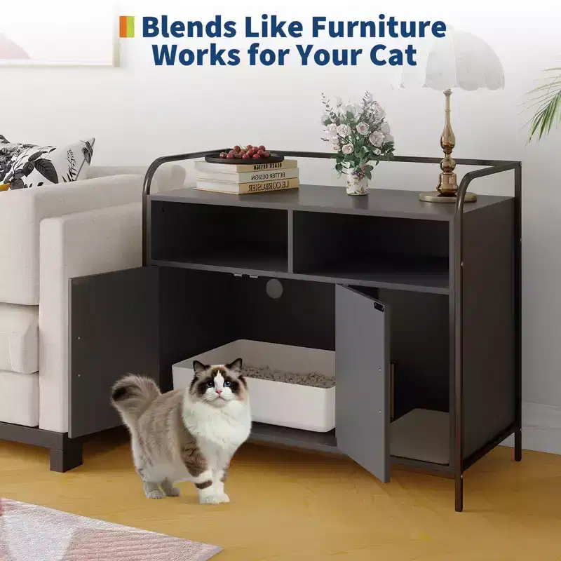 Hidden Litter Box Enclosure with Barn Door, Wood Cabinet & Side Table, Dog-Proof, Black